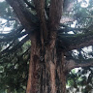 Meet your Posher, Overflow